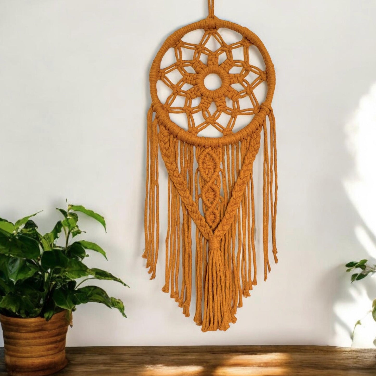 Mustard yellow dreamcatcher hanging on a white wall with a plant in the foreground.