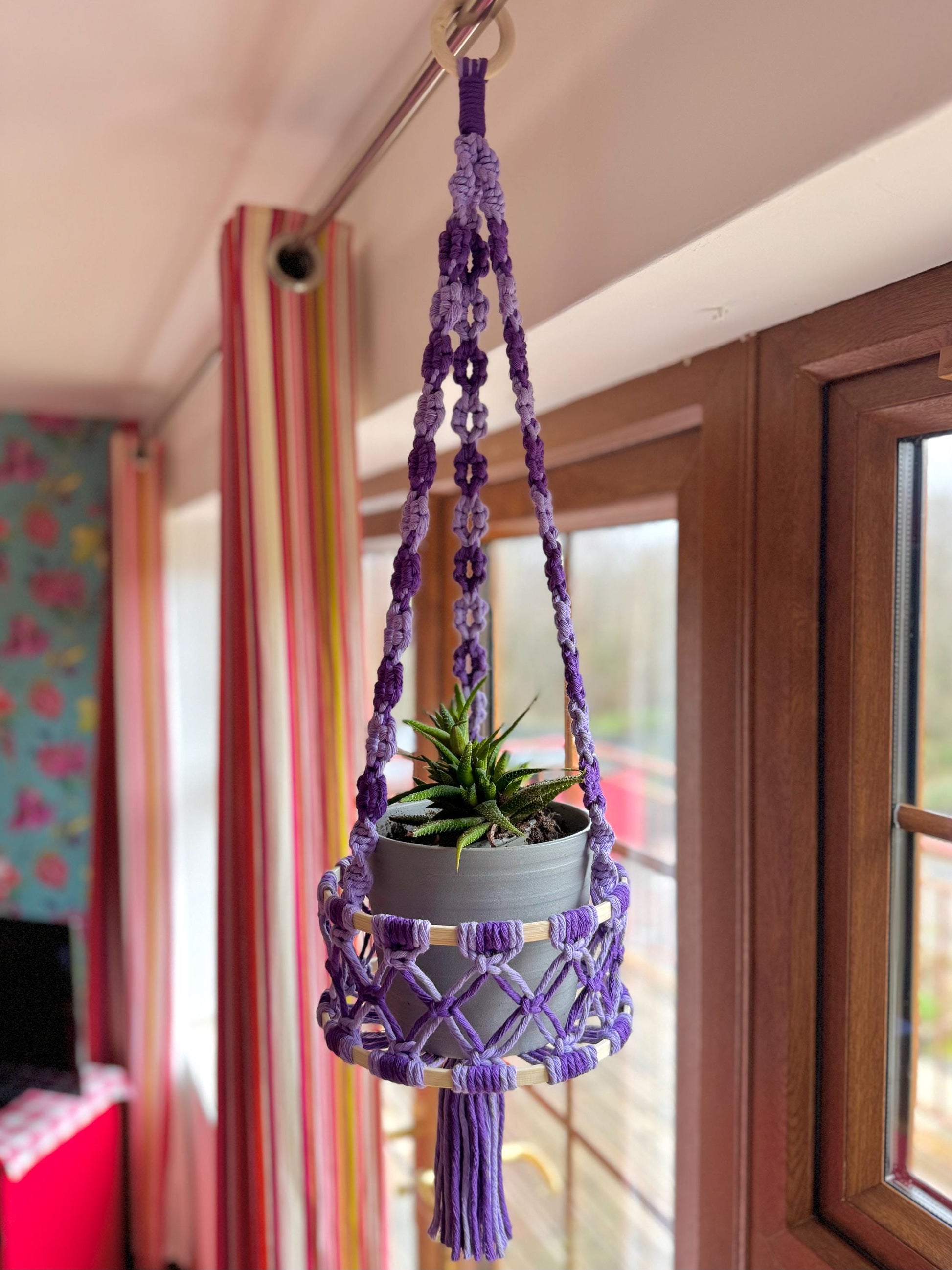 Purple macrame plant hanger with a small plant inside, hanging from a ceiling.
