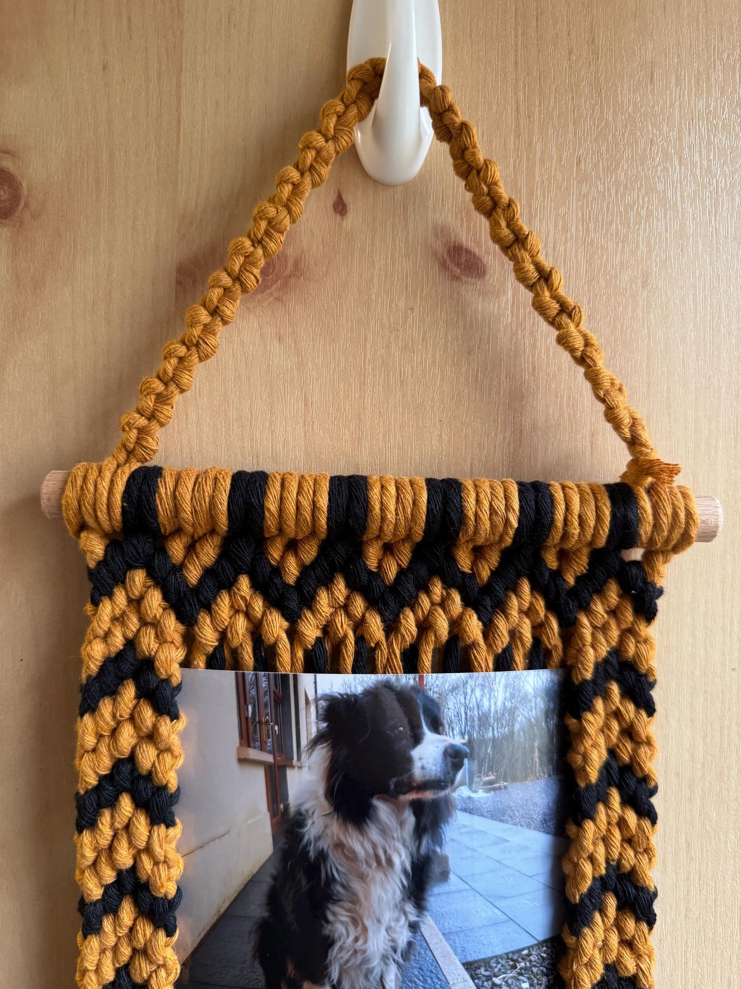Macrame wall hanging with a photo of a dog on a wooden background