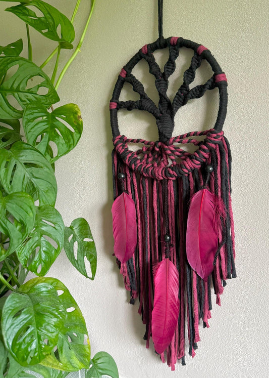 Black and burgundy macrame tree of life wall hanging with feathers hanging on a wall next to a green plant.