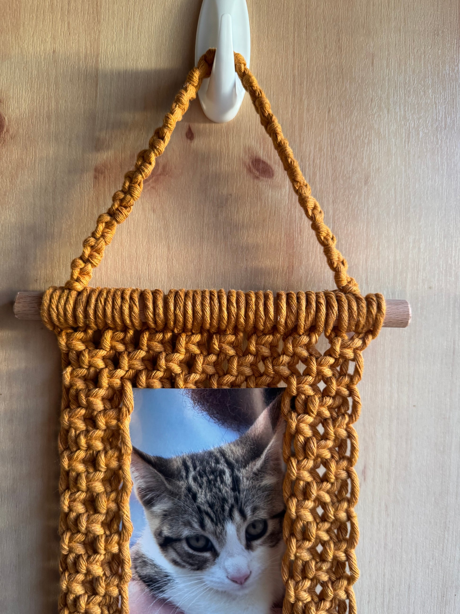 Macrame yellow frame with a cat photo on a wooden surface
